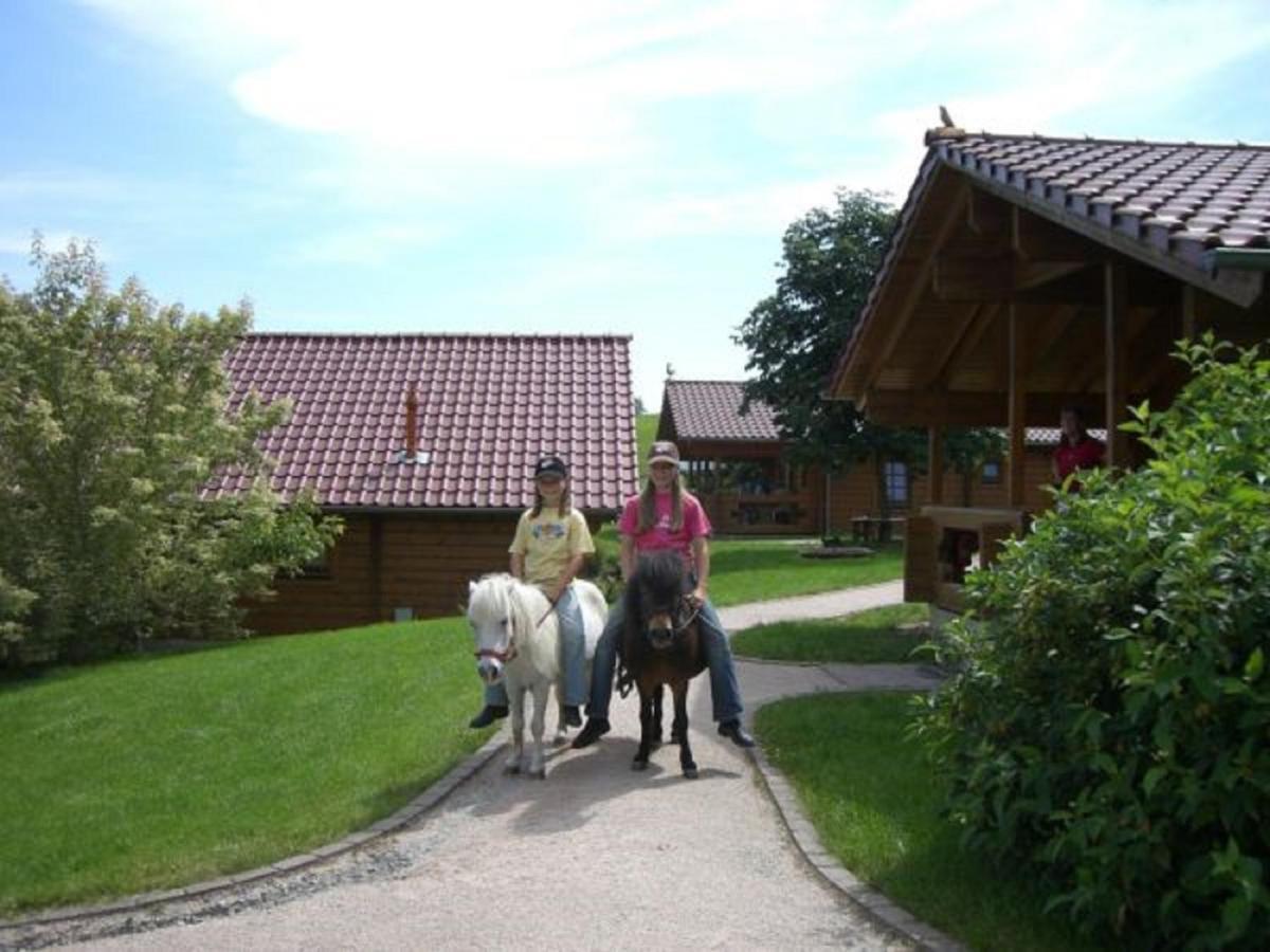 Ferienhof Pfeiffer Buchen  Exteriör bild