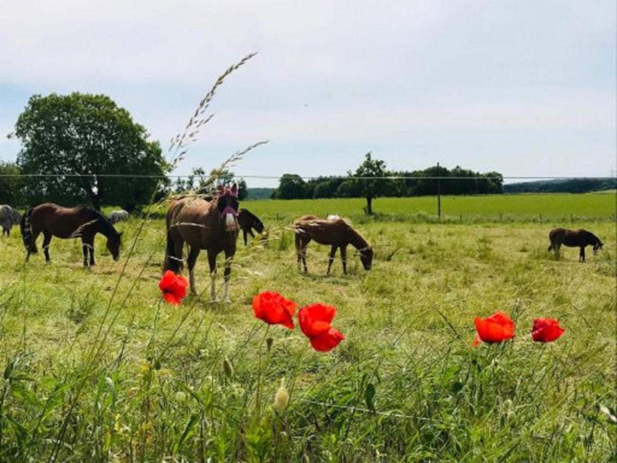 Ferienhof Pfeiffer Buchen  Exteriör bild