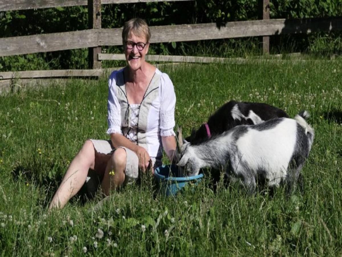 Ferienhof Pfeiffer Buchen  Exteriör bild