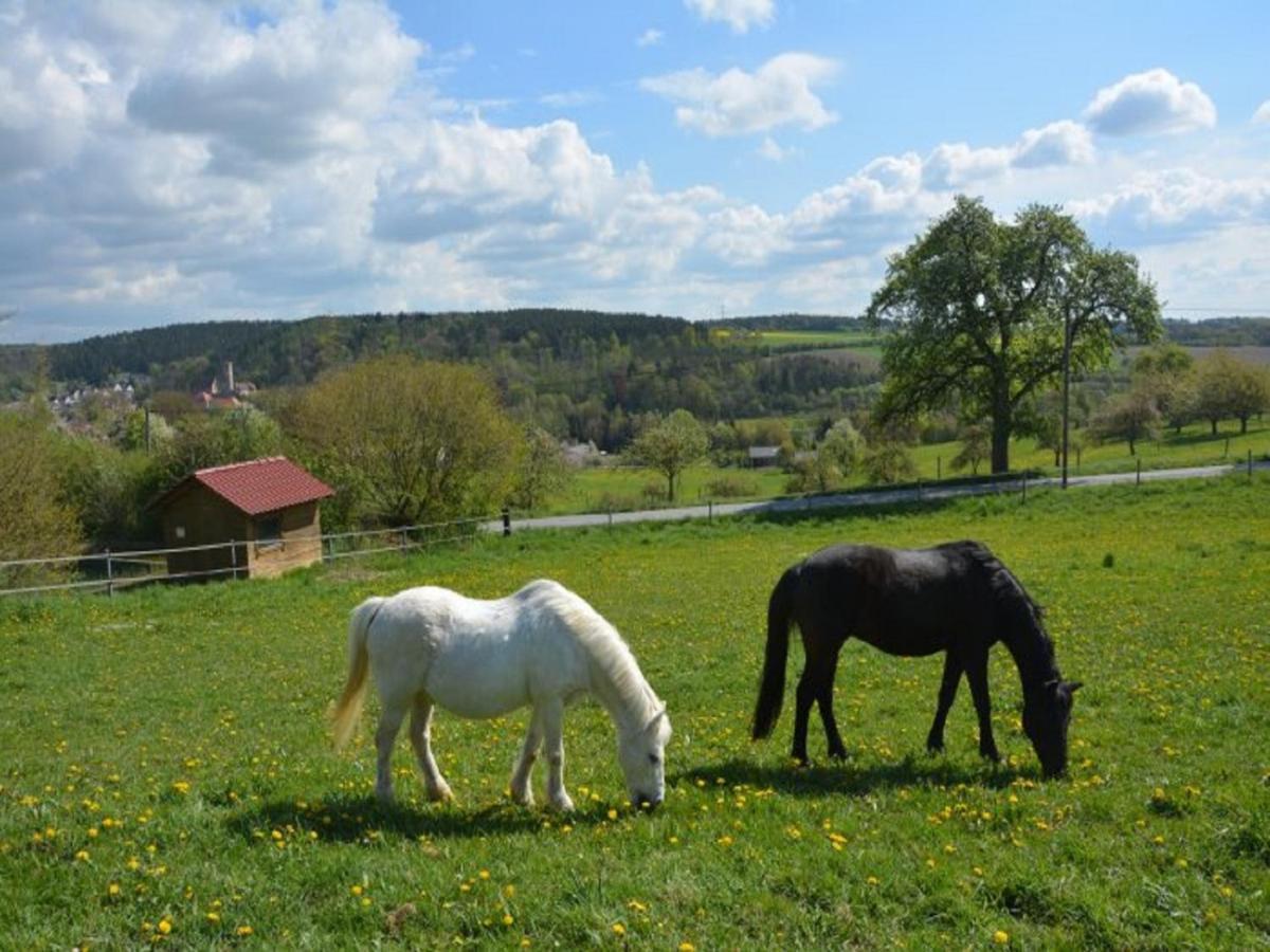 Ferienhof Pfeiffer Buchen  Exteriör bild